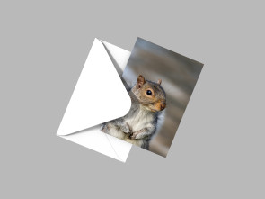 To buy a print or any of the below please click on the images